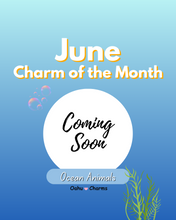 Load image into Gallery viewer, Charm of the Month Bundle
