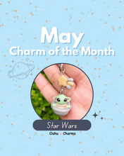 Load image into Gallery viewer, Charm of the Month Bundle
