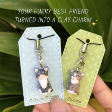 Load image into Gallery viewer, Custom Pet Cat Full Body Polymer Clay Charm
