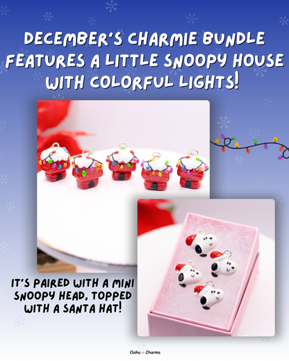 Charm of the Month Bundle