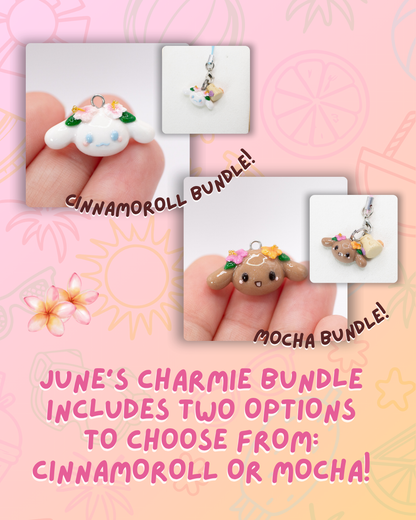 Charm of the Month Bundle