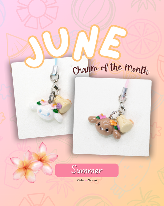 Charm of the Month Bundle