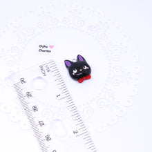 Load image into Gallery viewer, Black Delivery Cat Polymer Clay Charm

